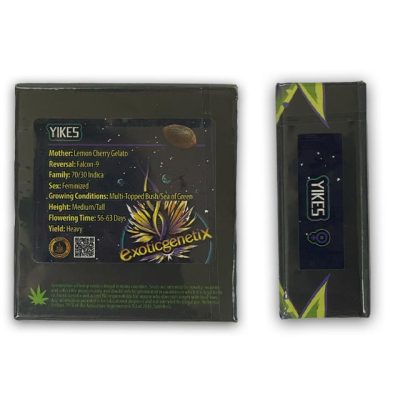 Yikes Exotic Genetix up