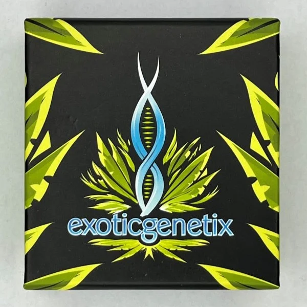 100K_Red_Line Cherry Bang Bang - Exotic Genetix - Feminized Seeds - Image 1