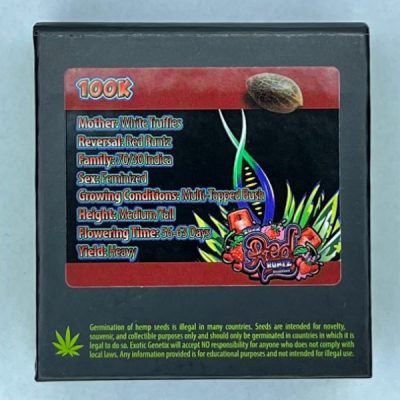 100K Exotic Genetix - Feminized Seeds - Image 2