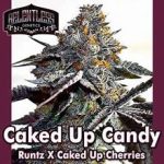 Caked Up Candy Regular Seeds by Relentless Genetics