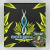 exotic genetix