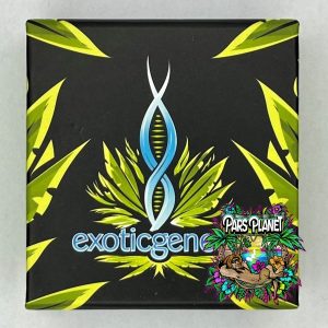 exotic genetix