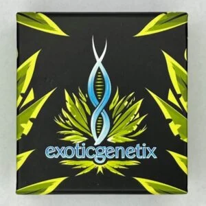 exotic genetix
