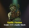 Garlic Fusion Feminized Seeds by In House Genetics