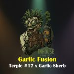 Garlic Fusion Feminized Seeds by In House Genetics