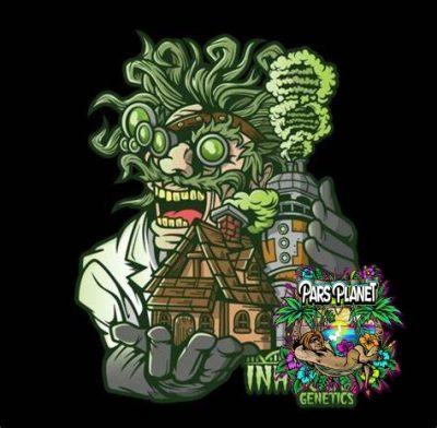 Platinum OG-D Feminized Seeds by In House Genetics - Image 3