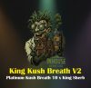 King Kush Breath V2 Feminized Seeds by In House Genetics