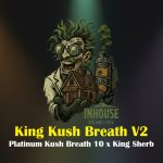 King Kush Breath V2 Feminized Seeds by In House Genetics