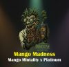 Mango Madness Feminized Seeds by In House Genetics