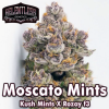 Moscato Mints Regular Seeds by Relentless Genetics