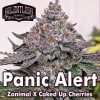 Panic Alert Regular Seeds by Relentless Genetics