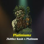 Platiniumz Feminized Seeds by In House Genetics