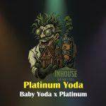 Platinum Yoda Feminized Seeds by In House Genetics