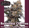 Relentless Cherries Feminized Seeds by Relentless Genetics