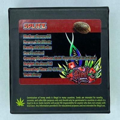 Splitz Feminized Seeds by Exotic Genetix - Image 2