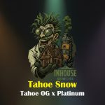 Tahoe Snow Feminized Seeds by In House Genetics