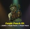 Zurple Punch BX Feminized Seeds by In House Genetics