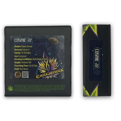 cosmic 22 exotic genetix back up