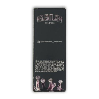 Midnight Orgy Relentless genetics back