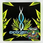 Funky Charms - Exotic Genetix - Feminized Seeds