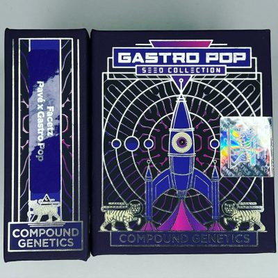 Facetz - Compound Genetics - Feminized Seeds - Image 2