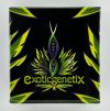 Drippin' Aint Eazy - Exotic Genetix - Feminized Seeds