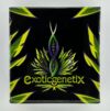 Slaphappy Feminized Seeds by Exotic Genetix