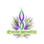 Exoticgenetix logo