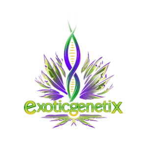 Exoticgenetix logo