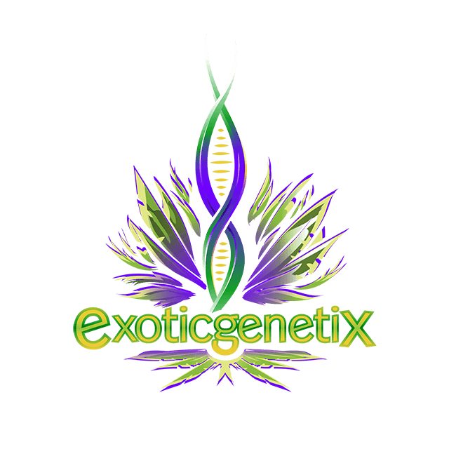 Exoticgenetix logo