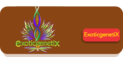 Exotic genetix