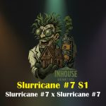 Slurricane #7 S1 Feminized Seeds by In House Genetics