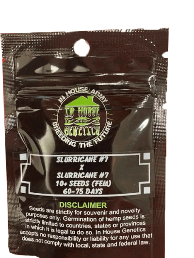 Sullaricane #7 S1 back