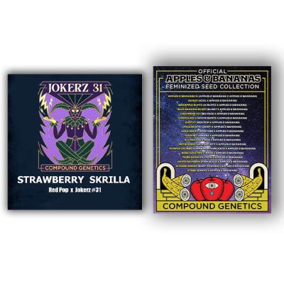 Starberry Skrilla Compound Genetics Double pack