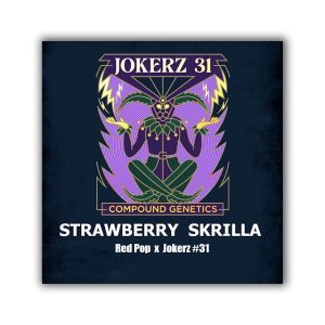 Starberry Skrilla Compound Genetics
