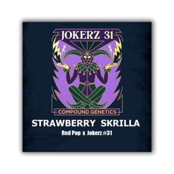 Starberry Skrilla Compound Genetics
