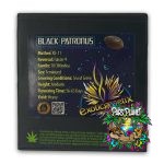 black patronus exotic genetic