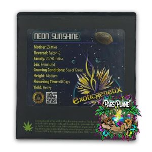 Neon Sunshine Exotic Genetix