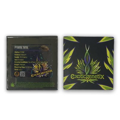 Primetime Exotic Genetix Back Front
