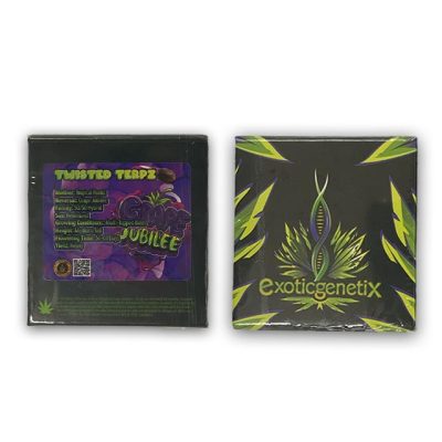 Twisted Terpz exotic genetix front back