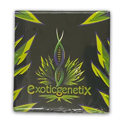 exotic genetix front