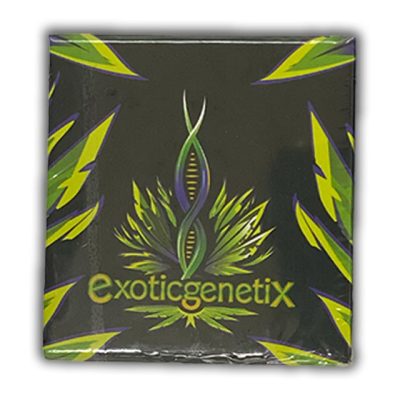 exotic genetix front