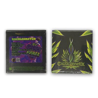 kocklesnatch exotic genetix back front