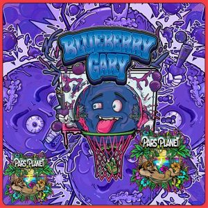 Blueberry Gary exotic genetix