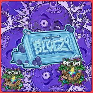 Bluezy exotic Genetix