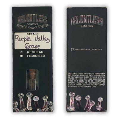 Purple Valley Grapes relentless genetics