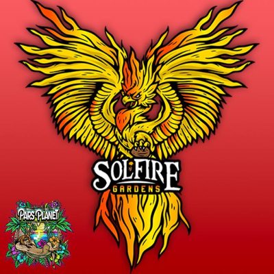 solfire gardens genetics