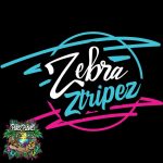 zebra Ztripez Seed Junky