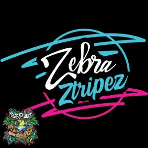 zebra Ztripez Seed Junky