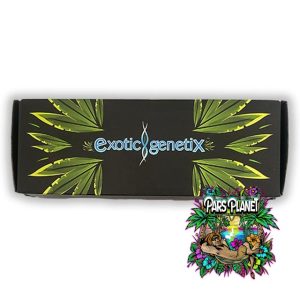 falcon 9 box exotic genetix